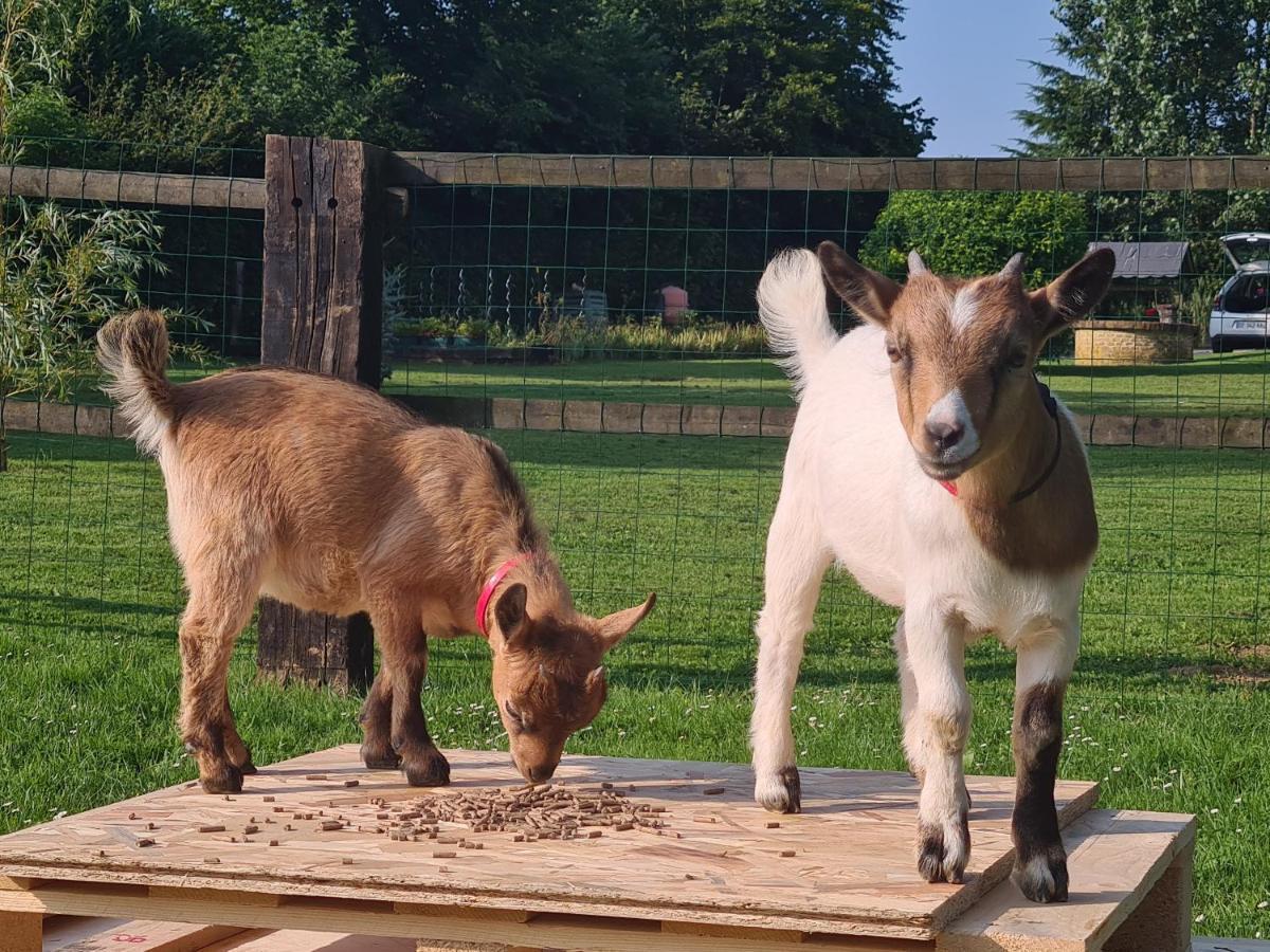 Le Manege Normand Holiday home